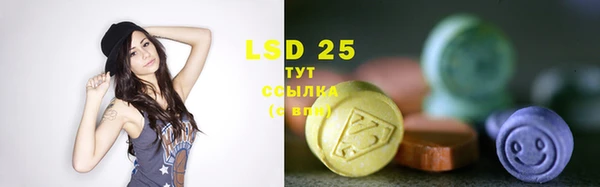 спиды Ладушкин