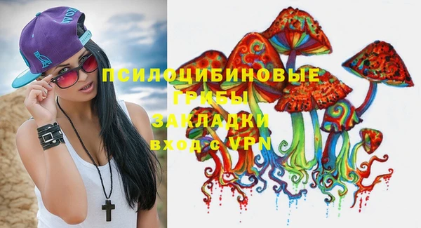 apvp Зерноград