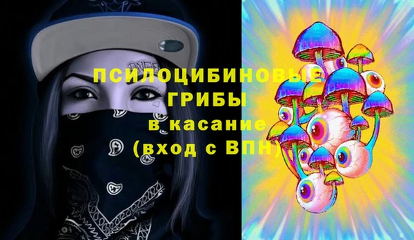 спиды Ладушкин