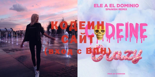 спиды Ладушкин